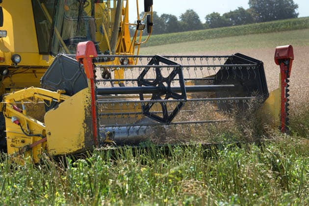 Rapsernte in Eilensen im Landkreis Northeim am Solling in Deutschland im Bundesland Niedersachsen. Maehdrescher der Marke New Holland drescht Raps auf trockenem Feld bei sonnigem Sommerwetter. Rapsernte 2026 in Niedersachsen *** Rapeseed harvest in Eilensen in the Northeim am Solling district of Lower Saxony, Germany. A New Holland combine harvester is threshing rapeseed in a dry field under sunny summer skies. 2026 rapeseed harvest in Lower Saxony