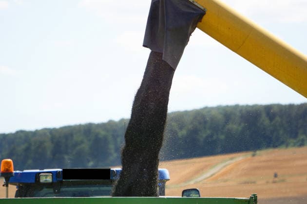 Rapsernte in Eilensen im Landkreis Northeim am Solling in Deutschland im Bundesland Niedersachsen. Maehdrescher der Marke New Holland drescht Raps auf trockenem Feld bei sonnigem Sommerwetter. Rapsernte 2026 in Niedersachsen *** Rapeseed harvest in Eilensen in the Northeim am Solling district of Lower Saxony, Germany. A New Holland combine harvester is threshing rapeseed in a dry field under sunny summer skies. 2026 rapeseed harvest in Lower Saxony
