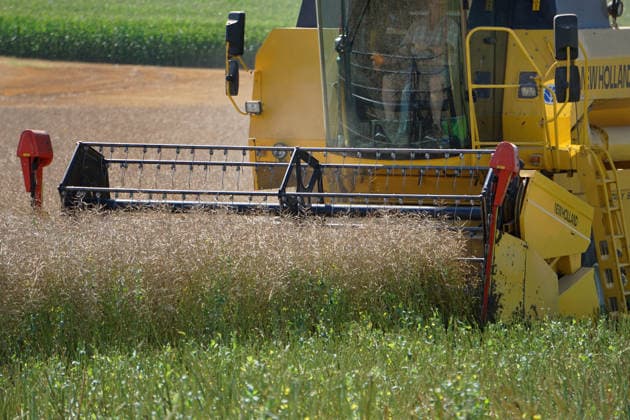 Rapsernte in Eilensen im Landkreis Northeim am Solling in Deutschland im Bundesland Niedersachsen. Maehdrescher der Marke New Holland drescht Raps auf trockenem Feld bei sonnigem Sommerwetter. Rapsernte 2026 in Niedersachsen *** Rapeseed harvest in Eilensen in the Northeim am Solling district of Lower Saxony, Germany. A New Holland combine harvester is threshing rapeseed in a dry field under sunny summer skies. 2026 rapeseed harvest in Lower Saxony