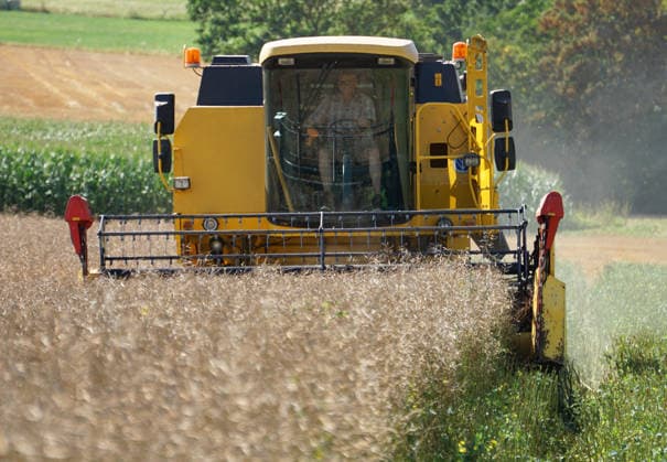 Rapsernte in Eilensen im Landkreis Northeim am Solling in Deutschland im Bundesland Niedersachsen. Maehdrescher der Marke New Holland drescht Raps auf trockenem Feld bei sonnigem Sommerwetter. Rapsernte 2026 in Niedersachsen *** Rapeseed harvest in Eilensen in the Northeim am Solling district of Lower Saxony, Germany. A New Holland combine harvester is threshing rapeseed in a dry field under sunny summer skies. 2026 rapeseed harvest in Lower Saxony