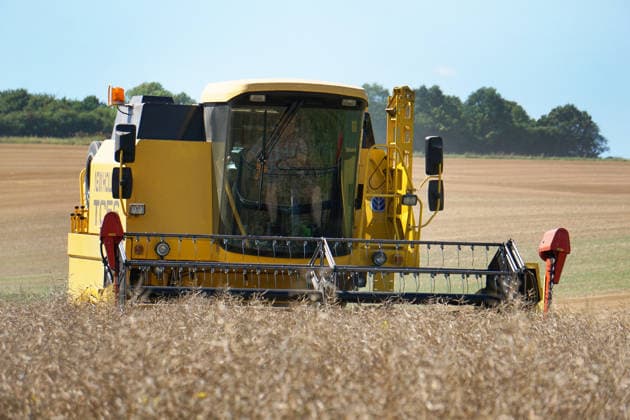 Rapsernte in Eilensen im Landkreis Northeim am Solling in Deutschland im Bundesland Niedersachsen. Maehdrescher der Marke New Holland drescht Raps auf trockenem Feld bei sonnigem Sommerwetter. Rapsernte 2026 in Niedersachsen *** Rapeseed harvest in Eilensen in the Northeim am Solling district of Lower Saxony, Germany. A New Holland combine harvester is threshing rapeseed in a dry field under sunny summer skies. 2026 rapeseed harvest in Lower Saxony