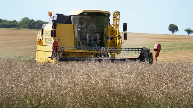 Rapsernte in Eilensen im Landkreis Northeim am Solling in Deutschland im Bundesland Niedersachsen. Maehdrescher der Marke New Holland drescht Raps auf trockenem Feld bei sonnigem Sommerwetter. Rapsernte 2026 in Niedersachsen *** Rapeseed harvest in Eilensen in the Northeim am Solling district of Lower Saxony, Germany. A New Holland combine harvester is threshing rapeseed in a dry field under sunny summer skies. 2026 rapeseed harvest in Lower Saxony