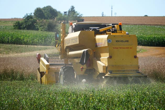 Rapsernte in Eilensen im Landkreis Northeim am Solling in Deutschland im Bundesland Niedersachsen. Maehdrescher der Marke New Holland drescht Raps auf trockenem Feld bei sonnigem Sommerwetter. Rapsernte 2026 in Niedersachsen *** Rapeseed harvest in Eilensen in the Northeim am Solling district of Lower Saxony, Germany. A New Holland combine harvester is threshing rapeseed in a dry field under sunny summer skies. 2026 rapeseed harvest in Lower Saxony