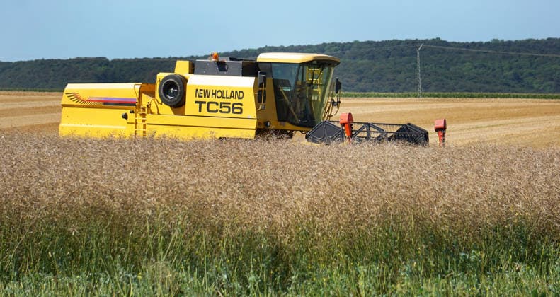 Rapsernte in Eilensen im Landkreis Northeim am Solling in Deutschland im Bundesland Niedersachsen. Maehdrescher der Marke New Holland drescht Raps auf trockenem Feld bei sonnigem Sommerwetter. Rapsernte 2026 in Niedersachsen *** Rapeseed harvest in Eilensen in the Northeim am Solling district of Lower Saxony, Germany. A New Holland combine harvester is threshing rapeseed in a dry field under sunny summer skies. 2026 rapeseed harvest in Lower Saxony