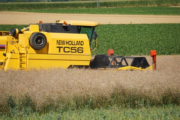 Rapsernte in Eilensen im Landkreis Northeim am Solling in Deutschland im Bundesland Niedersachsen. Maehdrescher der Marke New Holland drescht Raps auf trockenem Feld bei sonnigem Sommerwetter. Rapsernte 2026 in Niedersachsen *** Rapeseed harvest in Eilensen in the Northeim am Solling district of Lower Saxony, Germany. A New Holland combine harvester is threshing rapeseed in a dry field under sunny summer skies. 2026 rapeseed harvest in Lower Saxony