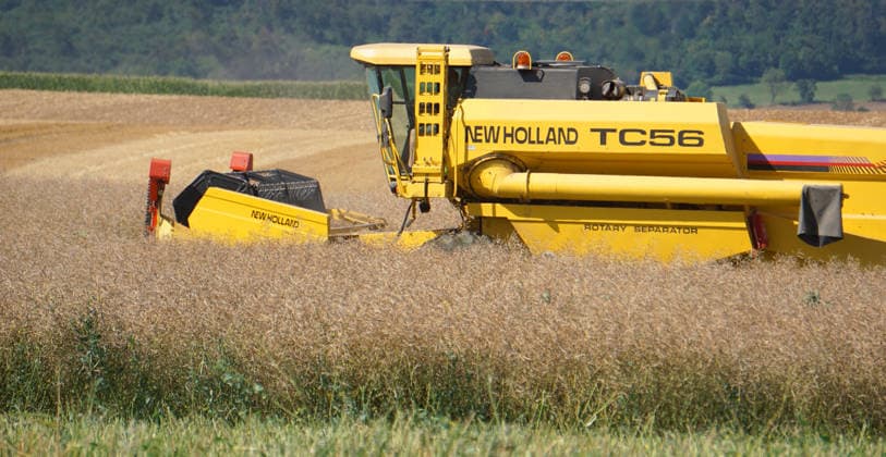 Rapsernte in Eilensen im Landkreis Northeim am Solling in Deutschland im Bundesland Niedersachsen. Maehdrescher der Marke New Holland drescht Raps auf trockenem Feld bei sonnigem Sommerwetter. Rapsernte 2026 in Niedersachsen *** Rapeseed harvest in Eilensen in the Northeim am Solling district of Lower Saxony, Germany. A New Holland combine harvester is threshing rapeseed in a dry field under sunny summer skies. 2026 rapeseed harvest in Lower Saxony