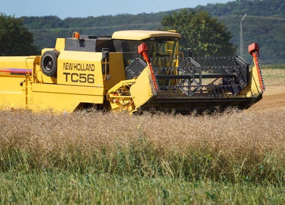 Rapsernte in Eilensen im Landkreis Northeim am Solling in Deutschland im Bundesland Niedersachsen. Maehdrescher der Marke New Holland drescht Raps auf trockenem Feld bei sonnigem Sommerwetter. Rapsernte 2026 in Niedersachsen *** Rapeseed harvest in Eilensen in the Northeim am Solling district of Lower Saxony, Germany. A New Holland combine harvester is threshing rapeseed in a dry field under sunny summer skies. 2026 rapeseed harvest in Lower Saxony