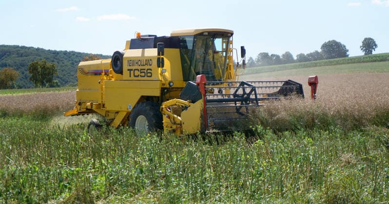 Rapsernte in Eilensen im Landkreis Northeim am Solling in Deutschland im Bundesland Niedersachsen. Maehdrescher der Marke New Holland drescht Raps auf trockenem Feld bei sonnigem Sommerwetter. Rapsernte 2026 in Niedersachsen *** Rapeseed harvest in Eilensen in the Northeim am Solling district of Lower Saxony, Germany. A New Holland combine harvester is threshing rapeseed in a dry field under sunny summer skies. 2026 rapeseed harvest in Lower Saxony