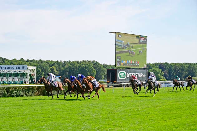 Westminster 136. Großer Preis von Berlin Pferderennen auf der Rennbahn Hoppegarten. Berlin, 09.08.2026 *** Westminster 136 Berlin Grand Prix Horse Race at the Hoppegarten Racetrack in Berlin, August 9, 2026 Foto:xM.xWehnertx xFuturexImagex westminster_6846