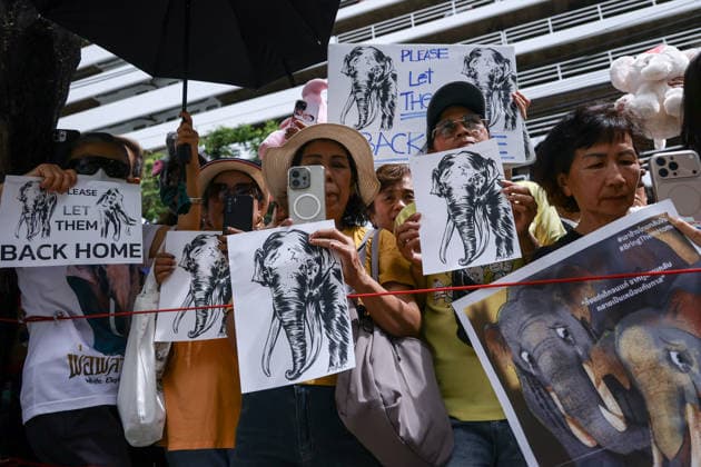 August 10, 2026, Bangkok, Thailand: Thai elephant lovers call for two elephants to be returned from Sri Lanka. Thai elephant lovers gather outside the Sri Lankan Embassy in Bangkok, calling on Sri Lanka to return the two Thai goodwill ambassador elephants, Plai Pratu Pha and Plai Plai Srinarong, to Thailand, after reports that the elephants have been overworked, in Bangkok, Thailand, August 10, 2026. Bangkok Thailand - ZUMAs197 20260810_aaa_s197_014 Copyright: xNattaphonxPhanphongsanonx