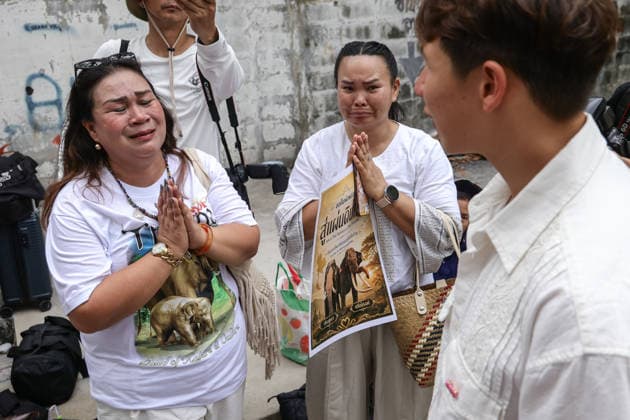 August 10, 2026, Bangkok, Thailand: Thai elephant lovers call for two elephants to be returned from Sri Lanka. Thai elephant lovers gather outside the Sri Lankan Embassy in Bangkok, calling on Sri Lanka to return the two Thai goodwill ambassador elephants, Plai Pratu Pha and Plai Plai Srinarong, to Thailand, after reports that the elephants have been overworked, in Bangkok, Thailand, August 10, 2026. Bangkok Thailand - ZUMAs197 20260810_aaa_s197_017 Copyright: xNattaphonxPhanphongsanonx