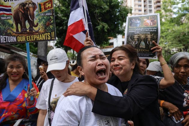 August 10, 2026, Bangkok, Thailand: Thai elephant lovers cry during a protest calling for two elephants to be returned from Sri Lanka. Thai elephant lovers gather outside the Sri Lankan Embassy in Bangkok, calling on Sri Lanka to return the two Thai goodwill ambassador elephants, Plai Pratu Pha and Plai Plai Srinarong, to Thailand, after reports that the elephants have been overworked, in Bangkok, Thailand, August 10, 2026. Bangkok Thailand - ZUMAs197 20260810_aaa_s197_022 Copyright: xNattaphonxPhanphongsanonx