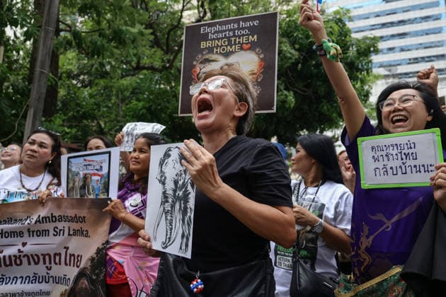 August 10, 2026, Bangkok, Thailand: Thai elephant lovers call for two elephants to be returned from Sri Lanka. Thai elephant lovers gather outside the Sri Lankan Embassy in Bangkok, calling on Sri Lanka to return the two Thai goodwill ambassador elephants, Plai Pratu Pha and Plai Plai Srinarong, to Thailand, after reports that the elephants have been overworked, in Bangkok, Thailand, August 10, 2026. Bangkok Thailand - ZUMAs197 20260810_aaa_s197_023 Copyright: xNattaphonxPhanphongsanonx