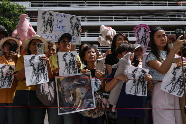 August 10, 2026, Bangkok, Thailand: Thai elephant lovers call for two elephants to be returned from Sri Lanka. Thai elephant lovers gather outside the Sri Lankan Embassy in Bangkok, calling on Sri Lanka to return the two Thai goodwill ambassador elephants, Plai Pratu Pha and Plai Plai Srinarong, to Thailand, after reports that the elephants have been overworked, in Bangkok, Thailand, August 10, 2026. Bangkok Thailand - ZUMAs197 20260810_aaa_s197_024 Copyright: xNattaphonxPhanphongsanonx