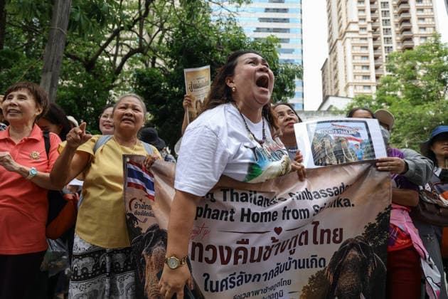 August 10, 2026, Bangkok, Thailand: Thai elephant lovers call for two elephants to be returned from Sri Lanka. Thai elephant lovers gather outside the Sri Lankan Embassy in Bangkok, calling on Sri Lanka to return the two Thai goodwill ambassador elephants, Plai Pratu Pha and Plai Plai Srinarong, to Thailand, after reports that the elephants have been overworked, in Bangkok, Thailand, August 10, 2026. Bangkok Thailand - ZUMAs197 20260810_aaa_s197_025 Copyright: xNattaphonxPhanphongsanonx