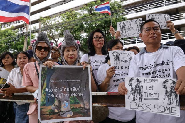 August 10, 2026, Bangkok, Thailand: Thai elephant lovers call for two elephants to be returned from Sri Lanka. Thai elephant lovers gather outside the Sri Lankan Embassy in Bangkok, calling on Sri Lanka to return the two Thai goodwill ambassador elephants, Plai Pratu Pha and Plai Plai Srinarong, to Thailand, after reports that the elephants have been overworked, in Bangkok, Thailand, August 10, 2026. Bangkok Thailand - ZUMAs197 20260810_aaa_s197_028 Copyright: xNattaphonxPhanphongsanonx