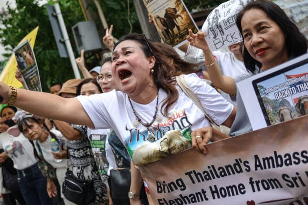 August 10, 2026, Bangkok, Thailand: Thai elephant lovers call for two elephants to be returned from Sri Lanka. Thai elephant lovers gather outside the Sri Lankan Embassy in Bangkok, calling on Sri Lanka to return the two Thai goodwill ambassador elephants, Plai Pratu Pha and Plai Plai Srinarong, to Thailand, after reports that the elephants have been overworked, in Bangkok, Thailand, August 10, 2026. Bangkok Thailand  - ZUMAs197 20260810_aaa_s197_015 Copyright: xNattaphonxPhanphongsanonx