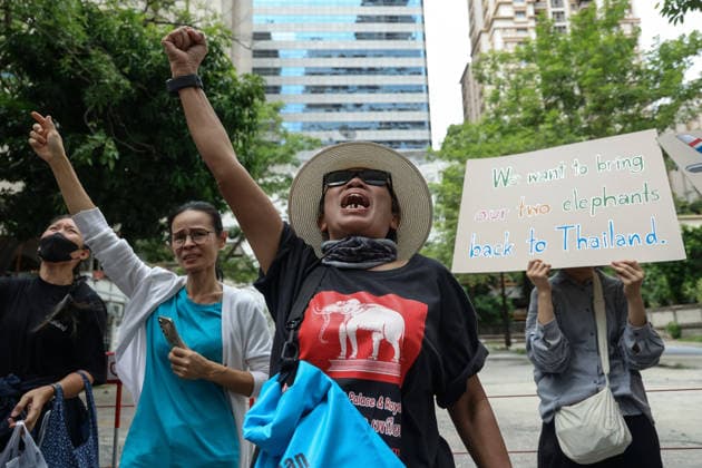 August 10, 2026, Bangkok, Thailand: Thai elephant lovers call for two elephants to be returned from Sri Lanka. Thai elephant lovers gather outside the Sri Lankan Embassy in Bangkok, calling on Sri Lanka to return the two Thai goodwill ambassador elephants, Plai Pratu Pha and Plai Plai Srinarong, to Thailand, after reports that the elephants have been overworked, in Bangkok, Thailand, August 10, 2026. Bangkok Thailand  - ZUMAs197 20260810_aaa_s197_019 Copyright: xNattaphonxPhanphongsanonx