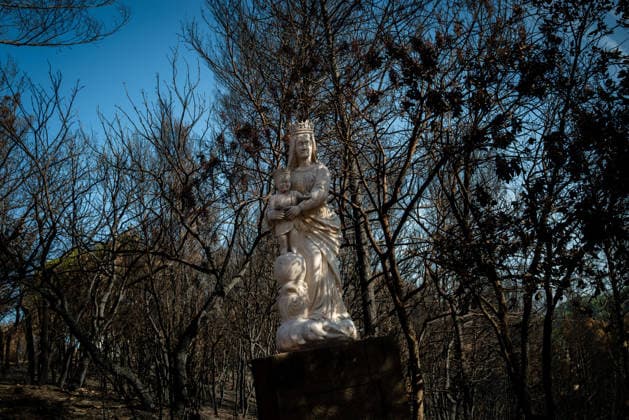 Aftermath of Wildfire in The Var - France Cotignac France  Copyright: xCoustxLaurent ABACAx