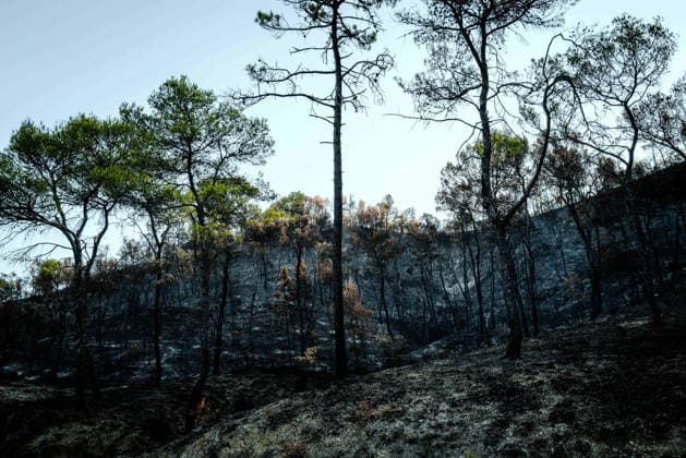 Aftermath of Wildfire in The Var - France The hills covered with pine and oak trees that were burned during the Gros Bessillon fire, along Departmental Road D554, in Chateauvert, France, on August 10, 2026. Photo by Laurent Coust ABACAPRESS.COM Chateauvert France  Copyright: xCoustxLaurent ABACAx