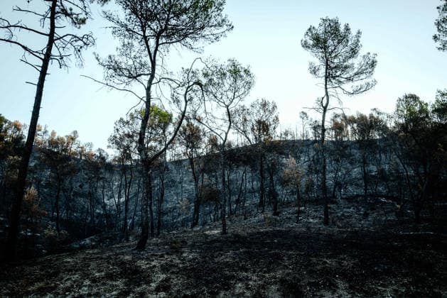 Aftermath of Wildfire in The Var - France The hills covered with pine and oak trees that were burned during the Gros Bessillon fire, along Departmental Road D554, in Chateauvert, France, on August 10, 2026. Photo by Laurent Coust ABACAPRESS.COM Chateauvert France  Copyright: xCoustxLaurent ABACAx