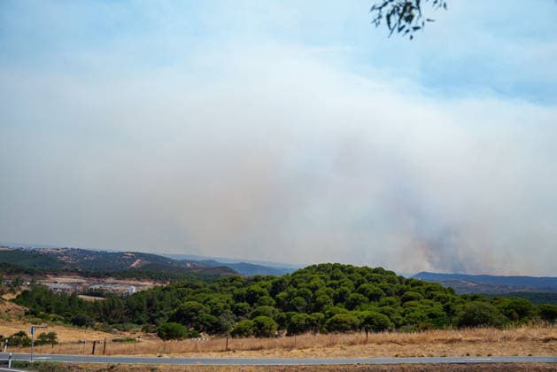 The Seville municipality of El Madrono has been evacuated due to the spread of the wildfire in Niebla, Huelva. The wildfire in Niebla, Huelva, threatens the Seville town of El Madrono. August 10, 2028, in El Madrono, Seville, Andalusia, Spain An evacuation order has been issued for the Seville municipality of El Madrono and its four hamlets due to the spread of the wildfire that broke out in Niebla, Huelva. The Forward Command Post has estimated that 286 people have been affected across the municipality and its four hamlets. AUGUST 10, 2026 Francisco J El Madrono, Seville, Andalusia, El Madrono, Seville, Andalusia, Spain  Copyright: xFranciscoxJ.xOlmox 7708742