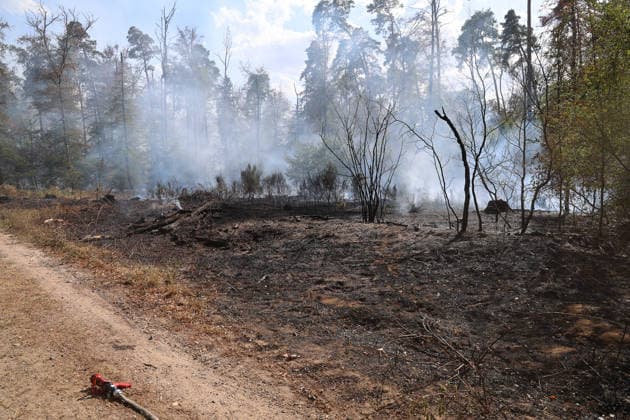 Waldbrand breitet sich bis nach Bayern aus Hubschrauber und Waldbrandflugzeug im Einsatz Polizei ermittelt wegen Brandstiftung Im Wald rund um Rodenbach im Main-Kinzig-Kreis brannte es am 10.08.2026 an mehreren Stellen, betroffen war eine Fläche von mehreren Tausend Quadratmetern. Mehrere hundert Feuerwehrleute sowie Polizeikräfte waren im Einsatz, unterstützt von zwei hessischen Polizeihubschraubern, einem bayerischen Hubschrauber mit Wasserwerfer und einem Waldbrandbeobachtungsflugzeug aus Bayern. Am Nachmittag griff das Feuer bis in Richtung der bayerischen Landesgrenze über, wo bayerische Löschzüge und Waldbrandlöschfahrzeuge ein weiteres Übergreifen verhinderten. Eine nahegelegene Wochenendhaussiedlung musste vorüberge