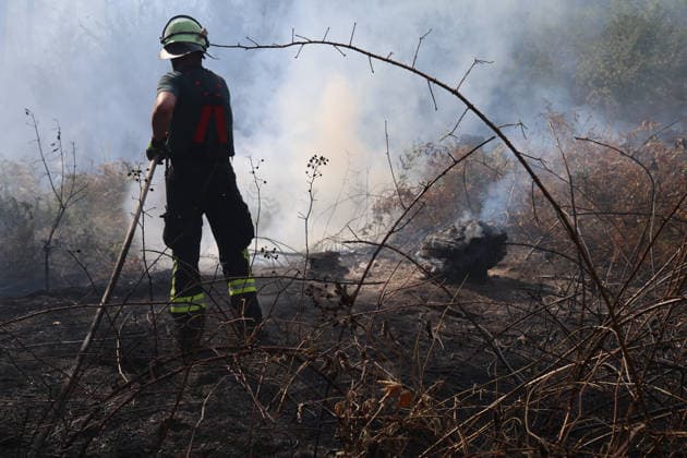 Waldbrand breitet sich bis nach Bayern aus Hubschrauber und Waldbrandflugzeug im Einsatz Polizei ermittelt wegen Brandstiftung Im Wald rund um Rodenbach im Main-Kinzig-Kreis brannte es am 10.08.2026 an mehreren Stellen, betroffen war eine Fläche von mehreren Tausend Quadratmetern. Mehrere hundert Feuerwehrleute sowie Polizeikräfte waren im Einsatz, unterstützt von zwei hessischen Polizeihubschraubern, einem bayerischen Hubschrauber mit Wasserwerfer und einem Waldbrandbeobachtungsflugzeug aus Bayern. Am Nachmittag griff das Feuer bis in Richtung der bayerischen Landesgrenze über, wo bayerische Löschzüge und Waldbrandlöschfahrzeuge ein weiteres Übergreifen verhinderten. Eine nahegelegene Wochenendhaussiedlung musste vorüberge