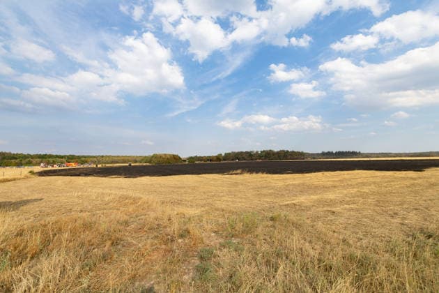 Feuerwehr kämpft bei Buschhoven gegen Flächenbrand am Waldrand Bei Buschhoven (Gemeinde Swisttal) breitet sich ein Flächenbrand aus: Ein zunächst brennendes Feld hat sich durch starken Wind auf angrenzenden Wald ausgeweitet, mehr als 10.000 Quadratmeter sind betroffen. Rund 150 Einsatzkräfte der Feuerwehr aus Swisttal, Alfter, Rheinbach und Weilerswist kämpfen gegen die Flammen, ein Polizeihubschrauber unterstützt die Löscharbeiten aus der Luft. Swisttal Buschhoven Nordrhein-Westfalen Deutschland *** Firefighters Battle Wildfire at the Edge of the Forest Near Buschhoven A wildfire is spreading near Buschhoven in the municipality of Swisttal. A fire that initially started in a field has spread to the adjacent forest due to strong win Copyright: xMarcxJohnx