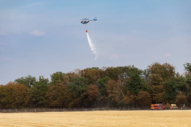 Feuerwehr kämpft bei Buschhoven gegen Flächenbrand am Waldrand Bei Buschhoven (Gemeinde Swisttal) breitet sich ein Flächenbrand aus: Ein zunächst brennendes Feld hat sich durch starken Wind auf angrenzenden Wald ausgeweitet, mehr als 10.000 Quadratmeter sind betroffen. Rund 150 Einsatzkräfte der Feuerwehr aus Swisttal, Alfter, Rheinbach und Weilerswist kämpfen gegen die Flammen, ein Polizeihubschrauber unterstützt die Löscharbeiten aus der Luft. Swisttal Buschhoven Nordrhein-Westfalen Deutschland *** Firefighters Battle Wildfire at the Edge of the Forest Near Buschhoven A wildfire is spreading near Buschhoven in the municipality of Swisttal. A fire that initially started in a field has spread to the adjacent forest due to strong win Copyright: xMarcxJohnx