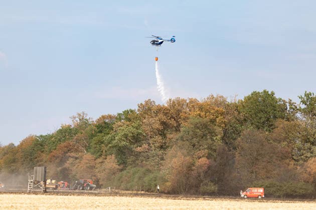 Feuerwehr kämpft bei Buschhoven gegen Flächenbrand am Waldrand Bei Buschhoven (Gemeinde Swisttal) breitet sich ein Flächenbrand aus: Ein zunächst brennendes Feld hat sich durch starken Wind auf angrenzenden Wald ausgeweitet, mehr als 10.000 Quadratmeter sind betroffen. Rund 150 Einsatzkräfte der Feuerwehr aus Swisttal, Alfter, Rheinbach und Weilerswist kämpfen gegen die Flammen, ein Polizeihubschrauber unterstützt die Löscharbeiten aus der Luft. Swisttal Buschhoven Nordrhein-Westfalen Deutschland *** Firefighters Battle Wildfire at the Edge of the Forest Near Buschhoven A wildfire is spreading near Buschhoven in the municipality of Swisttal. What started as a burning field has spread to the adjacent forest due to strong winds; more Copyright: xMarcxJohnx