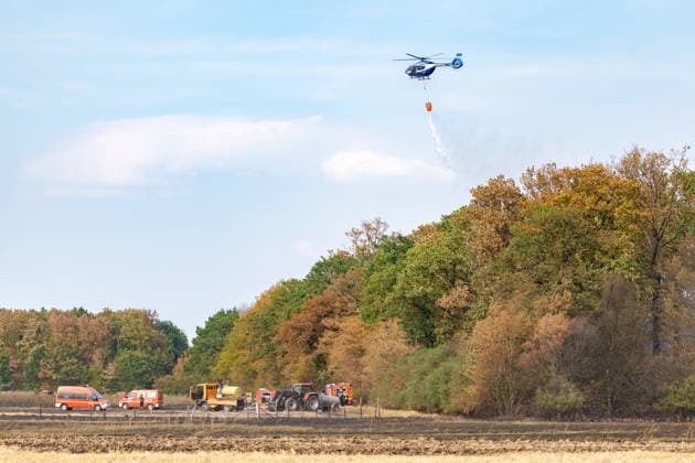 Feuerwehr kämpft bei Buschhoven gegen Flächenbrand am Waldrand Bei Buschhoven (Gemeinde Swisttal) breitet sich ein Flächenbrand aus: Ein zunächst brennendes Feld hat sich durch starken Wind auf angrenzenden Wald ausgeweitet, mehr als 10.000 Quadratmeter sind betroffen. Rund 150 Einsatzkräfte der Feuerwehr aus Swisttal, Alfter, Rheinbach und Weilerswist kämpfen gegen die Flammen, ein Polizeihubschrauber unterstützt die Löscharbeiten aus der Luft. Swisttal Buschhoven Nordrhein-Westfalen Deutschland *** Firefighters Battle Wildfire at the Edge of the Forest Near Buschhoven A wildfire is spreading near Buschhoven in the municipality of Swisttal. What started as a burning field has spread to the adjacent forest due to strong winds; more Copyright: xMarcxJohnx