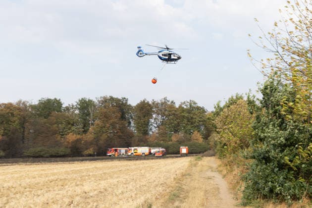 Feuerwehr kämpft bei Buschhoven gegen Flächenbrand am Waldrand Bei Buschhoven (Gemeinde Swisttal) breitet sich ein Flächenbrand aus: Ein zunächst brennendes Feld hat sich durch starken Wind auf angrenzenden Wald ausgeweitet, mehr als 10.000 Quadratmeter sind betroffen. Rund 150 Einsatzkräfte der Feuerwehr aus Swisttal, Alfter, Rheinbach und Weilerswist kämpfen gegen die Flammen, ein Polizeihubschrauber unterstützt die Löscharbeiten aus der Luft. Swisttal Buschhoven Nordrhein-Westfalen Deutschland *** Firefighters Battle Wildfire at the Edge of the Forest Near Buschhoven A wildfire is spreading near Buschhoven in the municipality of Swisttal. What started as a burning field has spread to the adjacent forest due to strong winds; more Copyright: xMarcxJohnx