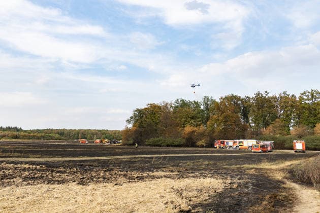 Feuerwehr kämpft bei Buschhoven gegen Flächenbrand am Waldrand Bei Buschhoven (Gemeinde Swisttal) breitet sich ein Flächenbrand aus: Ein zunächst brennendes Feld hat sich durch starken Wind auf angrenzenden Wald ausgeweitet, mehr als 10.000 Quadratmeter sind betroffen. Rund 150 Einsatzkräfte der Feuerwehr aus Swisttal, Alfter, Rheinbach und Weilerswist kämpfen gegen die Flammen, ein Polizeihubschrauber unterstützt die Löscharbeiten aus der Luft. Swisttal Buschhoven Nordrhein-Westfalen Deutschland *** Firefighters Battle Wildfire at the Edge of the Forest Near Buschhoven A wildfire is spreading near Buschhoven in the municipality of Swisttal. What started as a burning field has spread to the adjacent forest due to strong winds; more Copyright: xMarcxJohnx