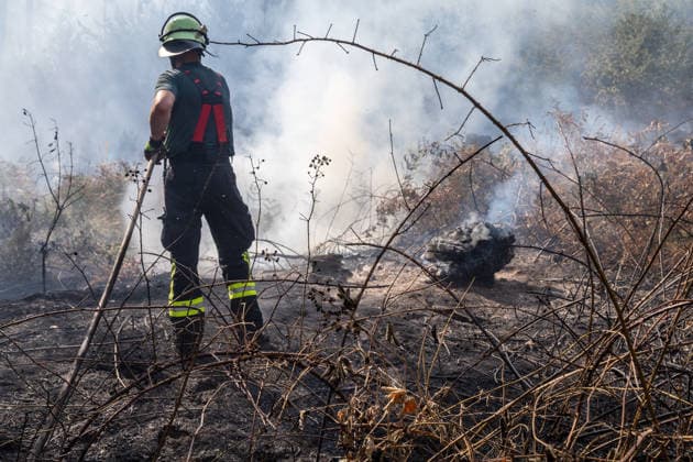 Vier Feuer lodern im Wald Fläche von mehreren Tausend Quadratmetern betroffen Ferienhaussiedlung nur knapp verschont In Rodenbach brennt es seit dem 10.08.2026 an vier Stellen im Wald zwischen den Ortsteilen Ober- und Niederrodenbach. Nach aktuellen Informationen erstreckt sich das Feuer auf einer Fläche von mehreren Tausend Quadratmetern, die Ursache ist zunächst unklar. Das Feuer breitete sich zunächst auch in Richtung einer nahegelegenen Ferienhaussiedlung aus, blieb dieser jedoch dank des Eingreifens der Feuerwehr fern. Die Löscharbeiten dauern nach aktuellen Informationen an, im Einsatz sind umfangreiche Feuerwehrkräfte auch aus dem benachbarten Aschaffenburg. Rodenbach Hessen Deutschland *** Four fires are raging in the