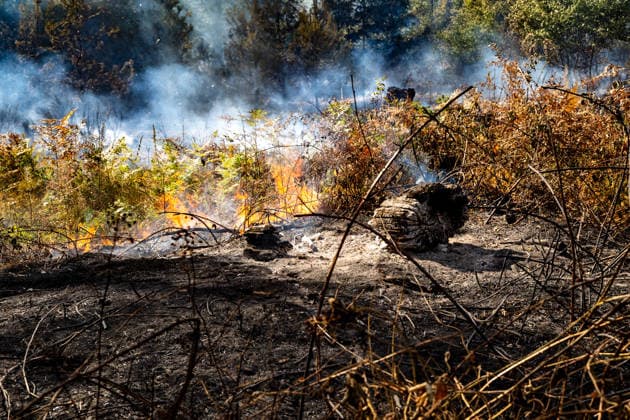 Vier Feuer lodern im Wald Fläche von mehreren Tausend Quadratmetern betroffen Ferienhaussiedlung nur knapp verschont In Rodenbach brennt es seit dem 10.08.2026 an vier Stellen im Wald zwischen den Ortsteilen Ober- und Niederrodenbach. Nach aktuellen Informationen erstreckt sich das Feuer auf einer Fläche von mehreren Tausend Quadratmetern, die Ursache ist zunächst unklar. Das Feuer breitete sich zunächst auch in Richtung einer nahegelegenen Ferienhaussiedlung aus, blieb dieser jedoch dank des Eingreifens der Feuerwehr fern. Die Löscharbeiten dauern nach aktuellen Informationen an, im Einsatz sind umfangreiche Feuerwehrkräfte auch aus dem benachbarten Aschaffenburg. Rodenbach Hessen Deutschland *** Four fires are raging in the