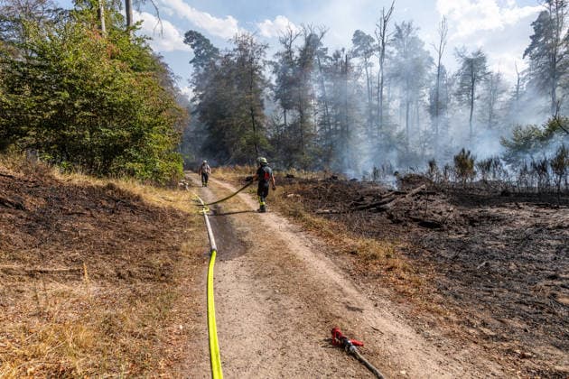 Vier Feuer lodern im Wald Fläche von mehreren Tausend Quadratmetern betroffen Ferienhaussiedlung nur knapp verschont In Rodenbach brennt es seit dem 10.08.2026 an vier Stellen im Wald zwischen den Ortsteilen Ober- und Niederrodenbach. Nach aktuellen Informationen erstreckt sich das Feuer auf einer Fläche von mehreren Tausend Quadratmetern, die Ursache ist zunächst unklar. Das Feuer breitete sich zunächst auch in Richtung einer nahegelegenen Ferienhaussiedlung aus, blieb dieser jedoch dank des Eingreifens der Feuerwehr fern. Die Löscharbeiten dauern nach aktuellen Informationen an, im Einsatz sind umfangreiche Feuerwehrkräfte auch aus dem benachbarten Aschaffenburg. Rodenbach Hessen Deutschland *** Four fires are raging in the