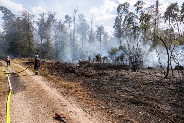 Vier Feuer lodern im Wald Fläche von mehreren Tausend Quadratmetern betroffen Ferienhaussiedlung nur knapp verschont In Rodenbach brennt es seit dem 10.08.2026 an vier Stellen im Wald zwischen den Ortsteilen Ober- und Niederrodenbach. Nach aktuellen Informationen erstreckt sich das Feuer auf einer Fläche von mehreren Tausend Quadratmetern, die Ursache ist zunächst unklar. Das Feuer breitete sich zunächst auch in Richtung einer nahegelegenen Ferienhaussiedlung aus, blieb dieser jedoch dank des Eingreifens der Feuerwehr fern. Die Löscharbeiten dauern nach aktuellen Informationen an, im Einsatz sind umfangreiche Feuerwehrkräfte auch aus dem benachbarten Aschaffenburg. Rodenbach Hessen Deutschland *** Four fires are raging in the