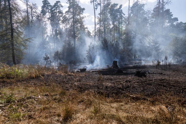 Vier Feuer lodern im Wald Fläche von mehreren Tausend Quadratmetern betroffen Ferienhaussiedlung nur knapp verschont In Rodenbach brennt es seit dem 10.08.2026 an vier Stellen im Wald zwischen den Ortsteilen Ober- und Niederrodenbach. Nach aktuellen Informationen erstreckt sich das Feuer auf einer Fläche von mehreren Tausend Quadratmetern, die Ursache ist zunächst unklar. Das Feuer breitete sich zunächst auch in Richtung einer nahegelegenen Ferienhaussiedlung aus, blieb dieser jedoch dank des Eingreifens der Feuerwehr fern. Die Löscharbeiten dauern nach aktuellen Informationen an, im Einsatz sind umfangreiche Feuerwehrkräfte auch aus dem benachbarten Aschaffenburg. Rodenbach Hessen Deutschland *** Four fires are raging in the