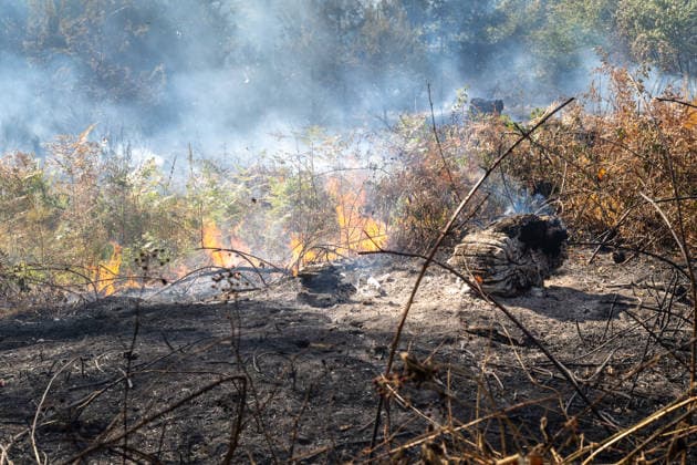 Vier Feuer lodern im Wald Fläche von mehreren Tausend Quadratmetern betroffen Ferienhaussiedlung nur knapp verschont In Rodenbach brennt es seit dem 10.08.2026 an vier Stellen im Wald zwischen den Ortsteilen Ober- und Niederrodenbach. Nach aktuellen Informationen erstreckt sich das Feuer auf einer Fläche von mehreren Tausend Quadratmetern, die Ursache ist zunächst unklar. Das Feuer breitete sich zunächst auch in Richtung einer nahegelegenen Ferienhaussiedlung aus, blieb dieser jedoch dank des Eingreifens der Feuerwehr fern. Die Löscharbeiten dauern nach aktuellen Informationen an, im Einsatz sind umfangreiche Feuerwehrkräfte auch aus dem benachbarten Aschaffenburg. Rodenbach Hessen Deutschland *** Four fires are raging in the