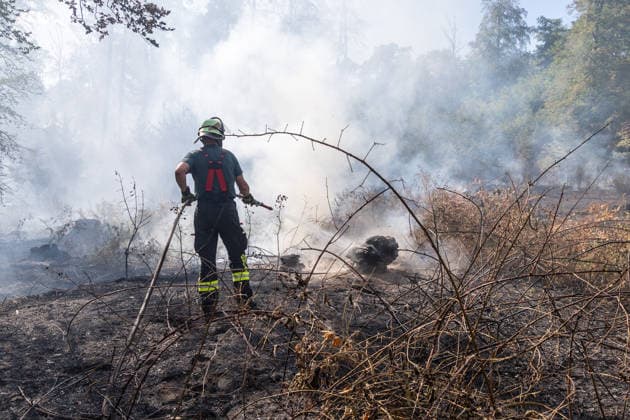 Vier Feuer lodern im Wald Fläche von mehreren Tausend Quadratmetern betroffen Ferienhaussiedlung nur knapp verschont In Rodenbach brennt es seit dem 10.08.2026 an vier Stellen im Wald zwischen den Ortsteilen Ober- und Niederrodenbach. Nach aktuellen Informationen erstreckt sich das Feuer auf einer Fläche von mehreren Tausend Quadratmetern, die Ursache ist zunächst unklar. Das Feuer breitete sich zunächst auch in Richtung einer nahegelegenen Ferienhaussiedlung aus, blieb dieser jedoch dank des Eingreifens der Feuerwehr fern. Die Löscharbeiten dauern nach aktuellen Informationen an, im Einsatz sind umfangreiche Feuerwehrkräfte auch aus dem benachbarten Aschaffenburg. Rodenbach Hessen Deutschland *** Four fires are raging in the