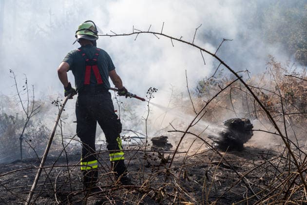 Vier Feuer lodern im Wald Fläche von mehreren Tausend Quadratmetern betroffen Ferienhaussiedlung nur knapp verschont In Rodenbach brennt es seit dem 10.08.2026 an vier Stellen im Wald zwischen den Ortsteilen Ober- und Niederrodenbach. Nach aktuellen Informationen erstreckt sich das Feuer auf einer Fläche von mehreren Tausend Quadratmetern, die Ursache ist zunächst unklar. Das Feuer breitete sich zunächst auch in Richtung einer nahegelegenen Ferienhaussiedlung aus, blieb dieser jedoch dank des Eingreifens der Feuerwehr fern. Die Löscharbeiten dauern nach aktuellen Informationen an, im Einsatz sind umfangreiche Feuerwehrkräfte auch aus dem benachbarten Aschaffenburg. Rodenbach Hessen Deutschland *** Four fires are raging in the