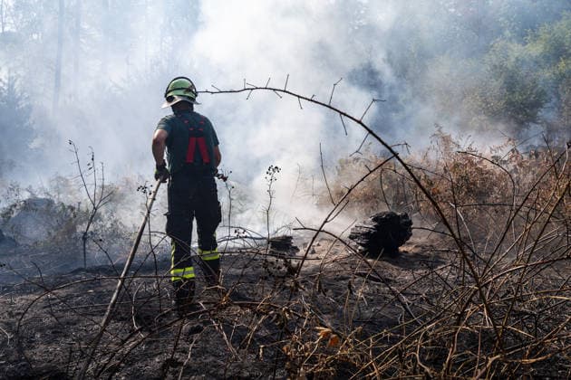 Vier Feuer lodern im Wald Fläche von mehreren Tausend Quadratmetern betroffen Ferienhaussiedlung nur knapp verschont In Rodenbach brennt es seit dem 10.08.2026 an vier Stellen im Wald zwischen den Ortsteilen Ober- und Niederrodenbach. Nach aktuellen Informationen erstreckt sich das Feuer auf einer Fläche von mehreren Tausend Quadratmetern, die Ursache ist zunächst unklar. Das Feuer breitete sich zunächst auch in Richtung einer nahegelegenen Ferienhaussiedlung aus, blieb dieser jedoch dank des Eingreifens der Feuerwehr fern. Die Löscharbeiten dauern nach aktuellen Informationen an, im Einsatz sind umfangreiche Feuerwehrkräfte auch aus dem benachbarten Aschaffenburg. Rodenbach Hessen Deutschland *** Four fires are raging in the
