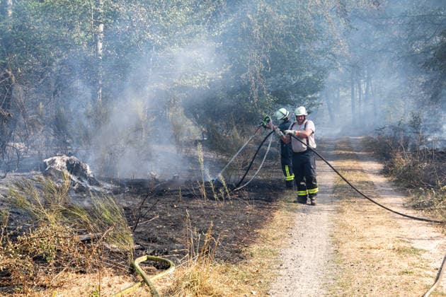 Vier Feuer lodern im Wald Fläche von mehreren Tausend Quadratmetern betroffen Ferienhaussiedlung nur knapp verschont In Rodenbach brennt es seit dem 10.08.2026 an vier Stellen im Wald zwischen den Ortsteilen Ober- und Niederrodenbach. Nach aktuellen Informationen erstreckt sich das Feuer auf einer Fläche von mehreren Tausend Quadratmetern, die Ursache ist zunächst unklar. Das Feuer breitete sich zunächst auch in Richtung einer nahegelegenen Ferienhaussiedlung aus, blieb dieser jedoch dank des Eingreifens der Feuerwehr fern. Die Löscharbeiten dauern nach aktuellen Informationen an, im Einsatz sind umfangreiche Feuerwehrkräfte auch aus dem benachbarten Aschaffenburg. Rodenbach Hessen Deutschland *** Four fires are raging in the