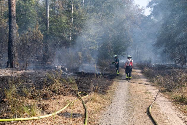 Vier Feuer lodern im Wald Fläche von mehreren Tausend Quadratmetern betroffen Ferienhaussiedlung nur knapp verschont In Rodenbach brennt es seit dem 10.08.2026 an vier Stellen im Wald zwischen den Ortsteilen Ober- und Niederrodenbach. Nach aktuellen Informationen erstreckt sich das Feuer auf einer Fläche von mehreren Tausend Quadratmetern, die Ursache ist zunächst unklar. Das Feuer breitete sich zunächst auch in Richtung einer nahegelegenen Ferienhaussiedlung aus, blieb dieser jedoch dank des Eingreifens der Feuerwehr fern. Die Löscharbeiten dauern nach aktuellen Informationen an, im Einsatz sind umfangreiche Feuerwehrkräfte auch aus dem benachbarten Aschaffenburg. Rodenbach Hessen Deutschland *** Four fires are raging in the