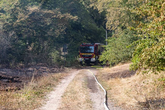 Vier Feuer lodern im Wald Fläche von mehreren Tausend Quadratmetern betroffen Ferienhaussiedlung nur knapp verschont In Rodenbach brennt es seit dem 10.08.2026 an vier Stellen im Wald zwischen den Ortsteilen Ober- und Niederrodenbach. Nach aktuellen Informationen erstreckt sich das Feuer auf einer Fläche von mehreren Tausend Quadratmetern, die Ursache ist zunächst unklar. Das Feuer breitete sich zunächst auch in Richtung einer nahegelegenen Ferienhaussiedlung aus, blieb dieser jedoch dank des Eingreifens der Feuerwehr fern. Die Löscharbeiten dauern nach aktuellen Informationen an, im Einsatz sind umfangreiche Feuerwehrkräfte auch aus dem benachbarten Aschaffenburg. Rodenbach Hessen Deutschland *** Four fires are raging in the