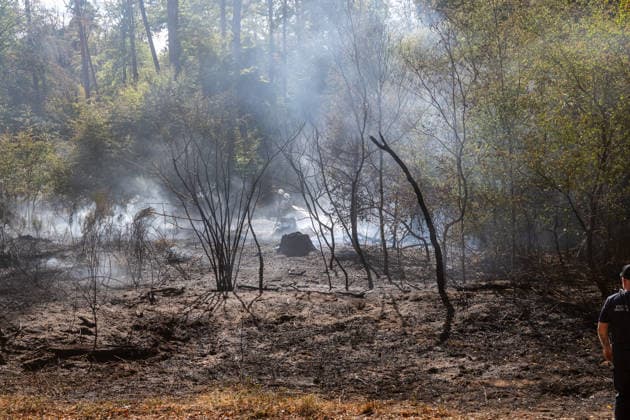Vier Feuer lodern im Wald Fläche von mehreren Tausend Quadratmetern betroffen Ferienhaussiedlung nur knapp verschont In Rodenbach brennt es seit dem 10.08.2026 an vier Stellen im Wald zwischen den Ortsteilen Ober- und Niederrodenbach. Nach aktuellen Informationen erstreckt sich das Feuer auf einer Fläche von mehreren Tausend Quadratmetern, die Ursache ist zunächst unklar. Das Feuer breitete sich zunächst auch in Richtung einer nahegelegenen Ferienhaussiedlung aus, blieb dieser jedoch dank des Eingreifens der Feuerwehr fern. Die Löscharbeiten dauern nach aktuellen Informationen an, im Einsatz sind umfangreiche Feuerwehrkräfte auch aus dem benachbarten Aschaffenburg. Rodenbach Hessen Deutschland *** Four fires are raging in the