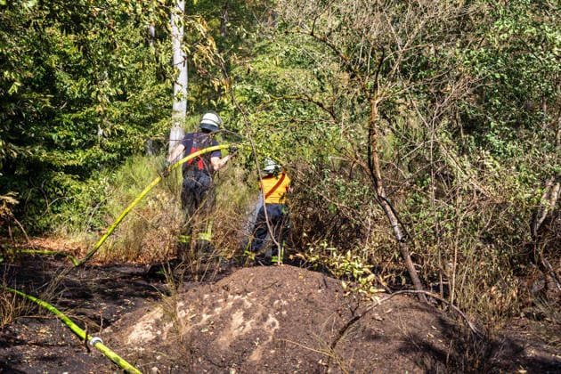 Vier Feuer lodern im Wald Fläche von mehreren Tausend Quadratmetern betroffen Ferienhaussiedlung nur knapp verschont In Rodenbach brennt es seit dem 10.08.2026 an vier Stellen im Wald zwischen den Ortsteilen Ober- und Niederrodenbach. Nach aktuellen Informationen erstreckt sich das Feuer auf einer Fläche von mehreren Tausend Quadratmetern, die Ursache ist zunächst unklar. Das Feuer breitete sich zunächst auch in Richtung einer nahegelegenen Ferienhaussiedlung aus, blieb dieser jedoch dank des Eingreifens der Feuerwehr fern. Die Löscharbeiten dauern nach aktuellen Informationen an, im Einsatz sind umfangreiche Feuerwehrkräfte auch aus dem benachbarten Aschaffenburg. Rodenbach Hessen Deutschland *** Four fires are raging in the