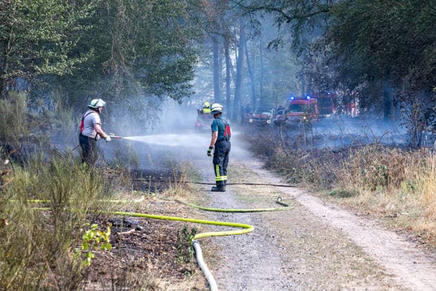 Vier Feuer lodern im Wald Fläche von mehreren Tausend Quadratmetern betroffen Ferienhaussiedlung nur knapp verschont In Rodenbach brennt es seit dem 10.08.2026 an vier Stellen im Wald zwischen den Ortsteilen Ober- und Niederrodenbach. Nach aktuellen Informationen erstreckt sich das Feuer auf einer Fläche von mehreren Tausend Quadratmetern, die Ursache ist zunächst unklar. Das Feuer breitete sich zunächst auch in Richtung einer nahegelegenen Ferienhaussiedlung aus, blieb dieser jedoch dank des Eingreifens der Feuerwehr fern. Die Löscharbeiten dauern nach aktuellen Informationen an, im Einsatz sind umfangreiche Feuerwehrkräfte auch aus dem benachbarten Aschaffenburg. Rodenbach Hessen Deutschland *** Four fires are raging in the