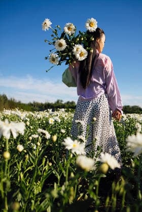 Eine junge Frau mit langen schwarzen Haaren trägt einen Strauß weißer Gänseblümchen, während sie tagsüber unter strahlend blauem Himmel durch ein Blumenfeld spaziert. Young woman with black hair holds a bouquet of daisies while walking through a field of flowers, with a clear blue sky above and greenery surrounding her (License=RF) ,model released, Symbolfoto Copyright: xZoonar.com DashaxPetrenkox 25405437 ,model released, Symbolfoto ,property released